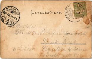 1905 Fenyőfalva, Gierelsau, Bradu, Brad; látkép. Kiadja W. Prischak / general view (EK)