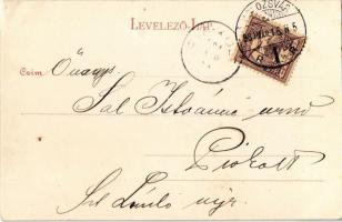 1901 Kolozsvár, Cluj; Mátyás király téri szobor / Mathias Rex statue (EK)