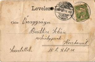 1902 Ferencfalva, Franzdorf, Valiug; látkép templommal / general view with church (EB)