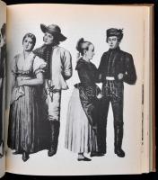 Ács Zoltán: Nemzetiségek a történelmi Magyarországon. Bp., 1984, Kossuth. Kiadói kemény papírkötés, ...