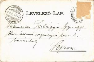 1899 Lugos, Lugoj; Komitatshaus / Vármegyeháza. Kiadja Auspitz Adolf / county hall (szakadás / tear)