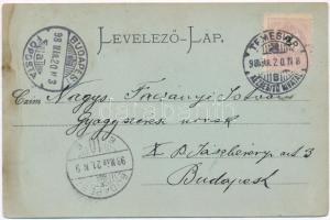 1898 Temesvár, Timisoara; Losonczy tér, templom, üzletek / square, church, shops (ázott / wet damage...