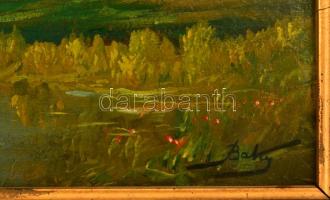 Baky Albert (1868-1944): Gólya pár. Olaj, karton, jelzett, keretben, 24×34 cm