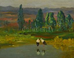Baky Albert (1868-1944): Gólya pár. Olaj, karton, jelzett, keretben, 24×34 cm