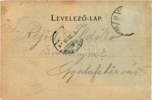 1899 Erdészvölgy, Kuzij (Lonka, Luh); Rudolf trónörökös vadászkastélya. Mayer és Berger kiadása. Osz...