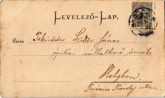 1899 Arad, hölgy portréja / portrait of a lady (fl)