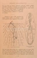 Flammarion Camille: Népszerű csillagászattan és az égboltozat egyetemes leírása I. kötet. Bp., 1888,...