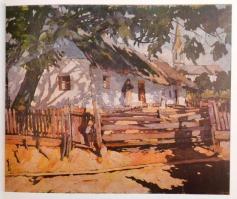 A művészet kiskönyvtára 13 kötete: Ranoir, Izsó, Aurel Popp, Delacroix, Degas, Corot, Braque, Ferenc...