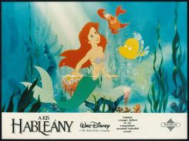12 db filmfotó a Disney: Kis Hableány . c filmről 18x24 cm