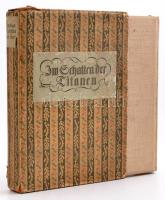 Lily Braun: Im Schatten der Titanen. Stuttgart, 1913, Deutsche-Verlags-Anstalt. Német nyelven. Kiadó...