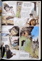 Pompei utolsó napjai. Romantikus képregény. L. Bulwer regénye nyomán írta és rajzolta Zórád Ernő. Bp...