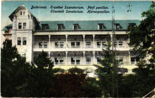 Budakeszi, Erzsébet szanatórium, férfi pavilon (EK)