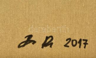 Barabás Roland (1976-): Dimenziók. Akril, vászon, jelzett, 50×70 cm