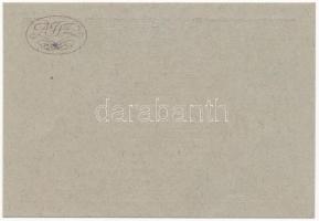 Budapest 1920. "Amatőrök Forgalmi Szövetkezete" 50f T:I