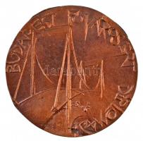 DN "SZIE Ybl Miklós Műszaki Kar 1879 / Budapest Fővárosért Diplomadíj" kétoldalas, öntött ...