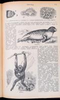 Tolnai Új Világlexikona I-XVIII. kötet.+ pótkötetek. Teljes sorozat!. Budapest, 1926-1930, Tolnai Ny...