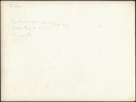 Bálnavadászok antarktiszi vizeken, 5 db sajtófotó, hátuljukon feliratozva, 18×24 cm