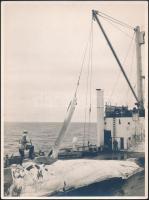 Bálnavadászok antarktiszi vizeken, 5 db sajtófotó, hátuljukon feliratozva, 18×24 cm