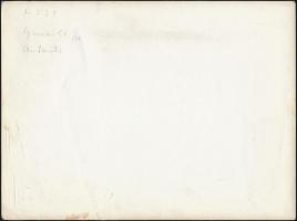 Bálnavadászok antarktiszi vizeken, 5 db sajtófotó, hátuljukon feliratozva, 18×24 cm