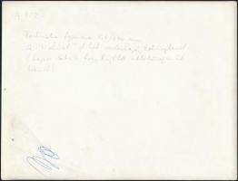 Bálnavadászok antarktiszi vizeken, 5 db sajtófotó, hátuljukon feliratozva, 18×24 cm