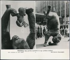 cca 1970-1980 6 db különféle külföldi témájú MTI-sajtófotó, különböző méretben