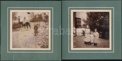 cca 1900 Régi idők kertjei, 11 db különféle kerti fotó, különböző méretben