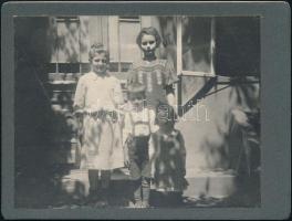 cca 1900 Régi idők kertjei, 11 db különféle kerti fotó, különböző méretben