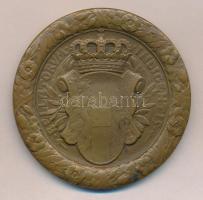 Osztrák-Magyar Monarchia 1917. "Habsburg Ottó trónörökös" Br emlékérem. Szign.: H. Kautsch...