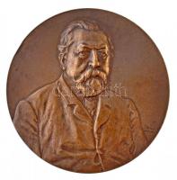 Anton Scharff (1845-1903) DN Magyar Mérnök és Építész Egylet - Ybl Érem Br emlékérem (50mm) T:1-,2