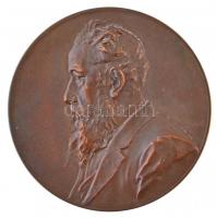 Ausztria 1900. Nicolaus Dumba Br emlékérem. Szign.: Anton Scharff (55mm) T:1- Austria 1900. Nicolaus Dumba Br commemorative medal. Sign.: Anton Scharff (55mm) C:AU