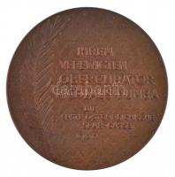 Ausztria 1900. "Nicolaus Dumba" Br emlékérem. Szign.: Anton Scharff (55mm) T:1-
Austria 1...