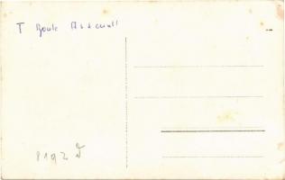 K.u.K. Kriegsmarine Torpedobootsgruppe / Osztrák-magyar torpedórombolók: Delphin (56 T), Triton (64 ...