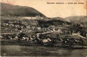 1908 Stájerlakanina, Stájerlak, Steierdorf, Anina;  látkép. Kiadja Hollschütz F. / general view (fl)