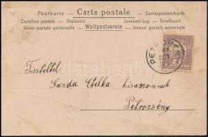 Lady, unsigned art postcard, litho (fl)