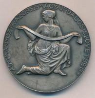 Reményi József (1887-1977) 1929. "A kormányzói vándordíj nyertesének emlékérme / Adományozta az...