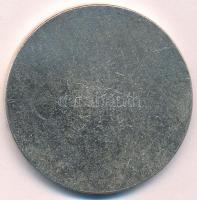 Németország DN "Deutsche Post Bezirksdirektion Berlin" részben festett, fém emlékérem, ere...