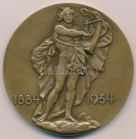 Reményi József (1887-1977) 1934. "A M. Kir. Operaház 50 éves fennállásának emlékére" Br em...