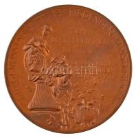 Ausztria 1893. "Georg Raphael Donner / Születésének 200. évfordulójára" Br emlékérem. Szig...