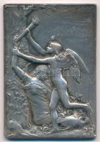 Franciaország 1900. "Párizsi Világkiállítás 1900" ezüstözött Br plakett, peremén "BRO...