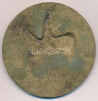 1935. "1920-1935 Március 1." fém emlékplakett (76mm) T:2-