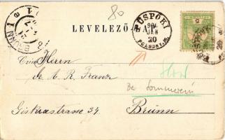 1900 Pozsonypüspöki, Püspöki, Bischdorf, Podunajské Biskupice; Grófi kastély középtérje és udvara, r...