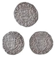 1618K-B Denár Ag "II. Mátyás" (0,56g) + 1619K-B Denár Ag "II. Mátyás" (0,53g) + ...