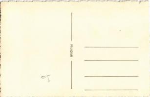 Kadicsfalva, Cadiseni (Székelyudvarhely, Odorheiu Secuiesc); ökrös szántás / plowing with oxen. phot...