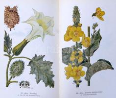 Giovanni Rudolf-Szathmáry Géza: Gyógynövények. Bp.,1961, Mezőgazdasági. Második, javított kiadás. Ki...