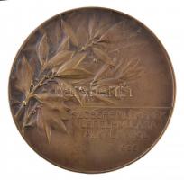 Telcs Ede (1872-1948) 1906. "Gróf Andrássy Gyula / Szoboremlékének lepelhullása alkalmából 1906...