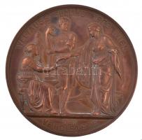 Ausztria 1873. "Bécsi Világkiállítás / Az érdem jeléül" Br emlékérem. "FRANZ JOSEPH I...