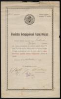 1914 a Magyar Vöröskereszt önkéntes betegápolónői bizonyítványa