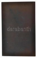 Zala György (1858-1937) 1909. "Kautz Gyula" Br plakett. "1829-1909 KAUTZ GYULA, A TUD...