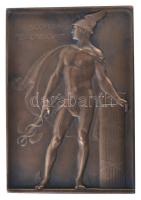 Telcs Ede (1872-1948) 1914. "Rechtnitz Béla / Concordia res crescvnt" Br emlékplakett (72,...