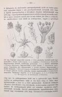 Dr. Tuzson János:  Rendszeres növénytan. I-II. kötet. I. kötet: Általános rész és virágtalan növénye...